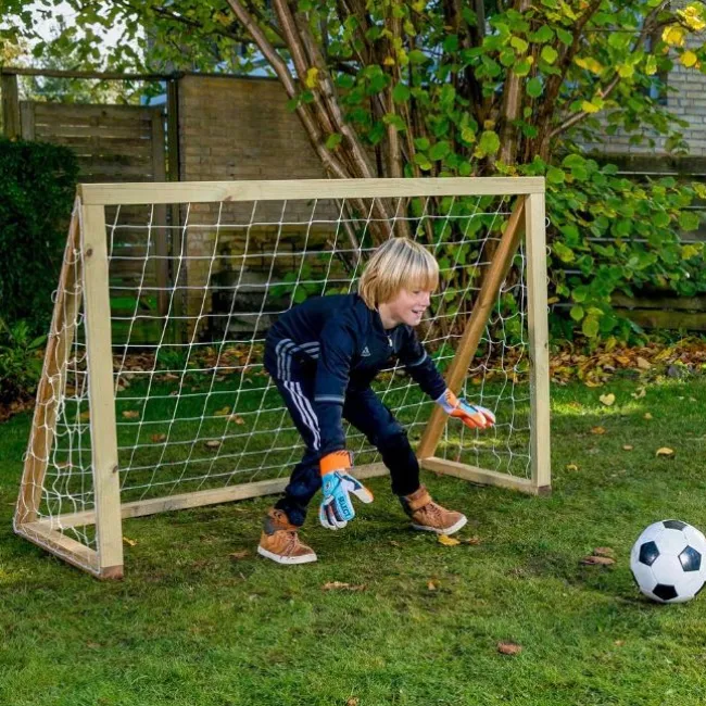 Homegoal Classic Mini