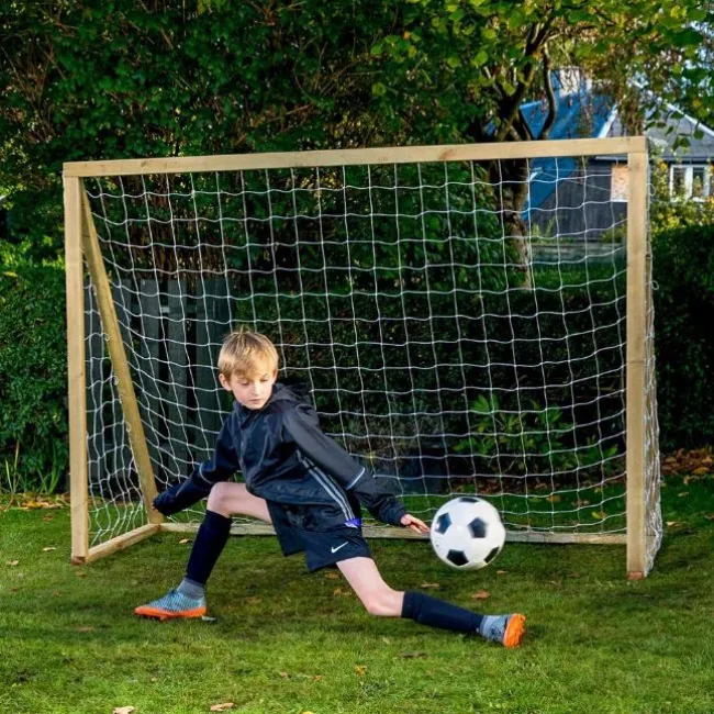 Homegoal Classic Senior