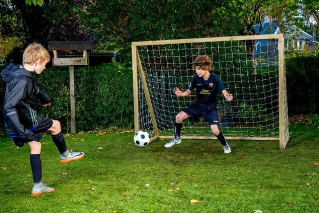 Homegoal Classic Senior