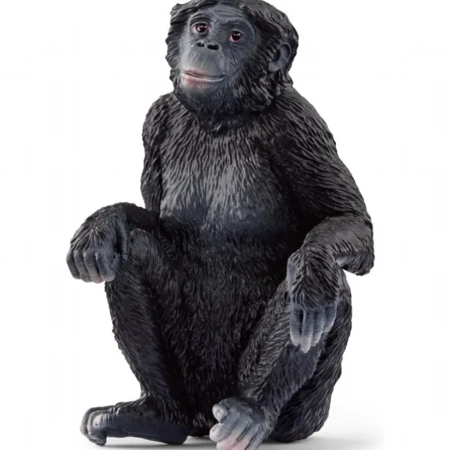Hunbonobo abe