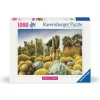 Huntington Desert Garden 1000 Brikker