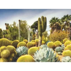Huntington Desert Garden 1000 Brikker