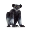 Indri