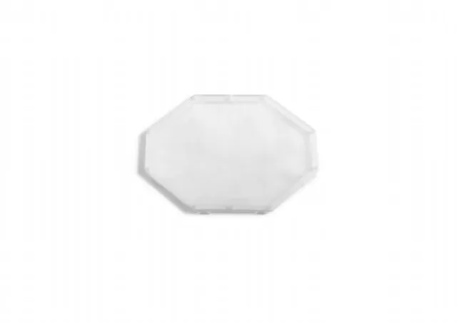 Intex Autocleaner Debris Filter