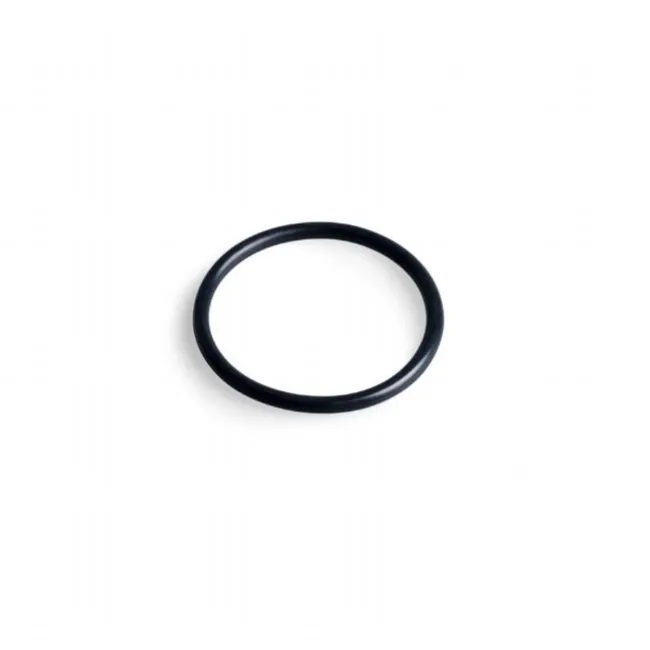 Intex O-ring Pumpe og Saltvandssytem