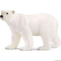 Isbjørn
