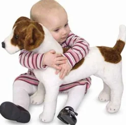 Jack Russell Terrier i plys