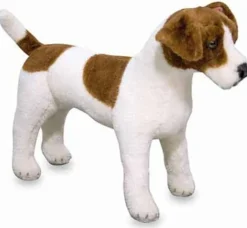 Jack Russell Terrier i plys