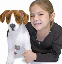 Jack Russell Terrier i plys