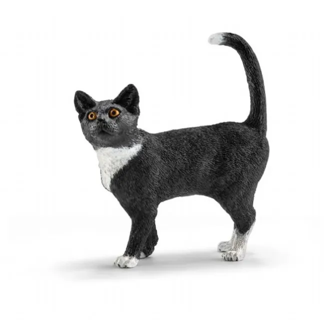 Kat, stående