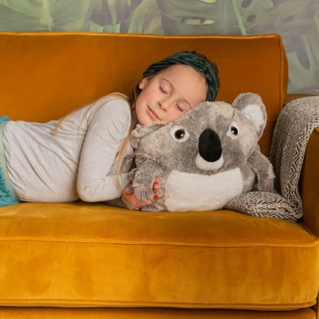 Krammebamse, Koala