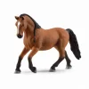 Lipizzaner-hoppe