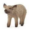 Mangalica Grisling