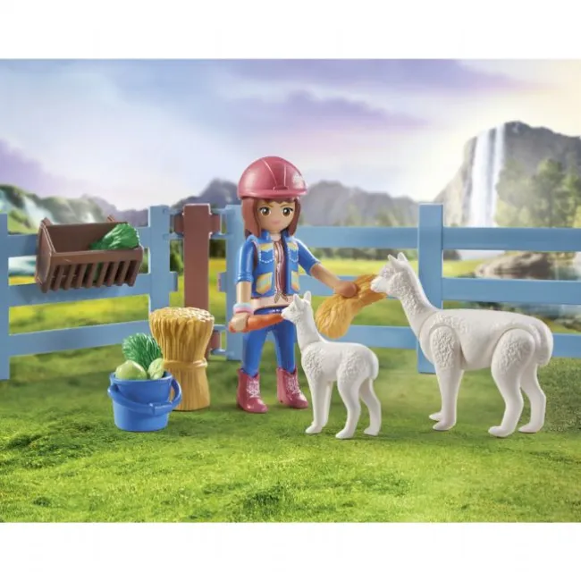 Morgan, Quarter Horse + Shagya Araber