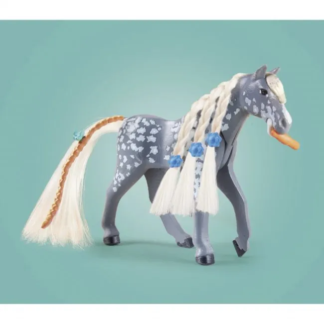 Morgan, Quarter Horse + Shagya Araber