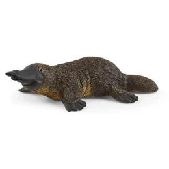 Næbdyr