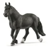 Noriker-hingst