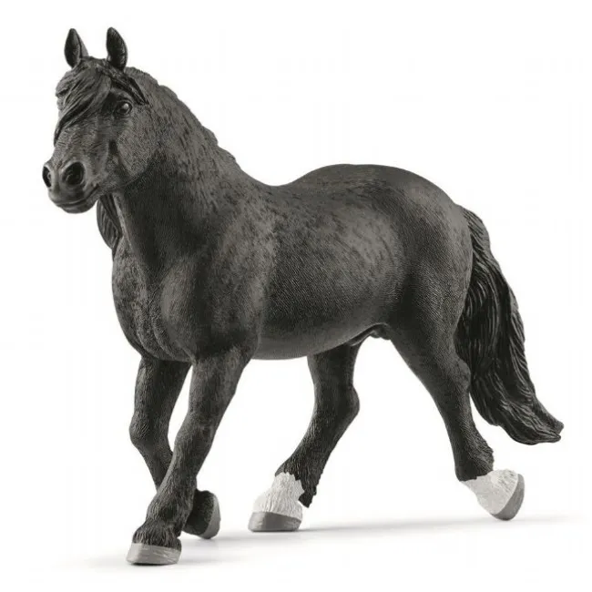 Noriker-hingst