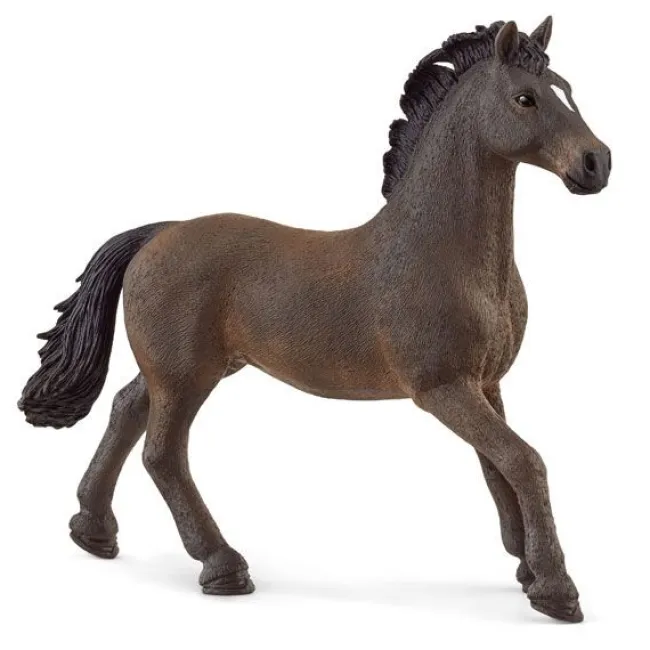 Oldenburg Hingst