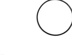 O-ring