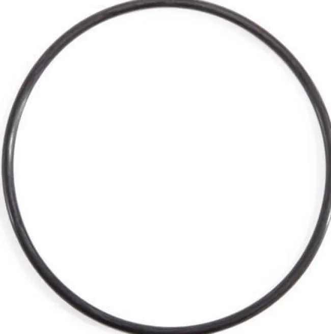 O-Ring (Elektrolyse) Til 28423/28424