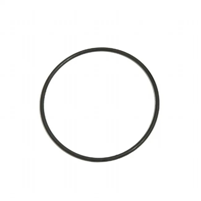 O-ring Filterhætte filterpumpe 9.463L