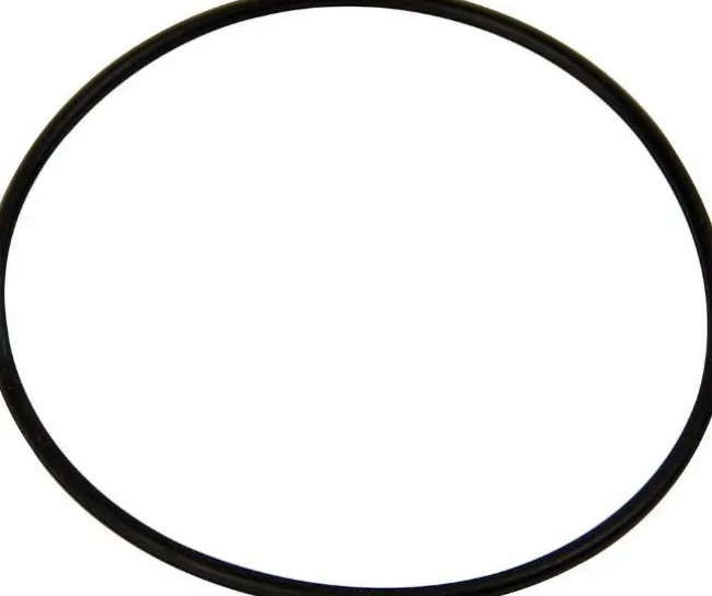 O-ring pumpe forfilter 1001-1002
