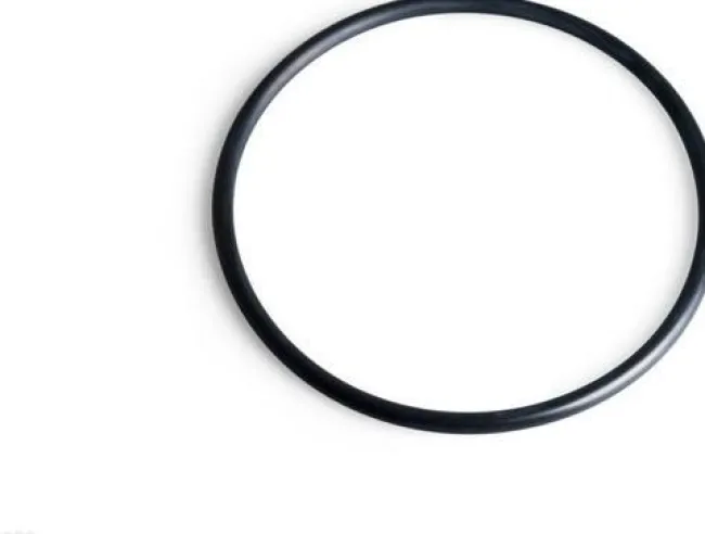 O-ring til intex pumpe