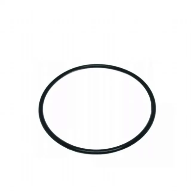 O-ring til Intex Sandfilterpumpe Tank