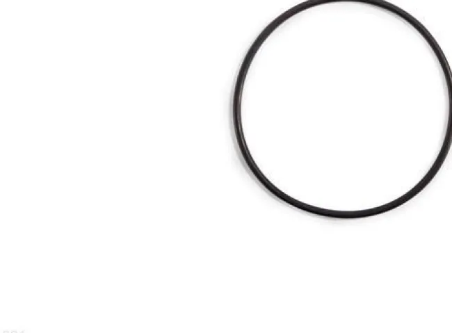 O-ring til 305 mm sandfilterpumpe