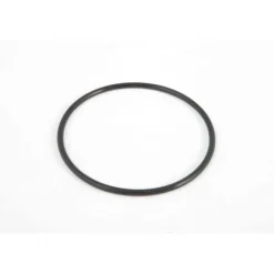 O-ring til Sandfilterpumpe