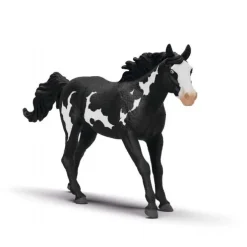 Paint Horse Vallak