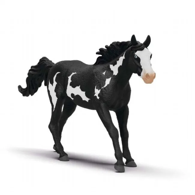Paint Horse Vallak