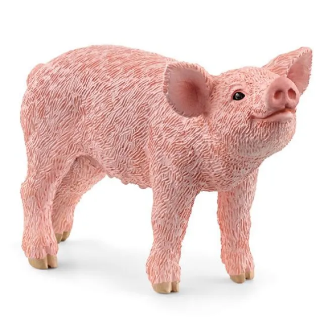 Pattegris