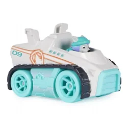 Paw Patrol True Metal Gift Pack Neon