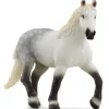 Percheron hoppe