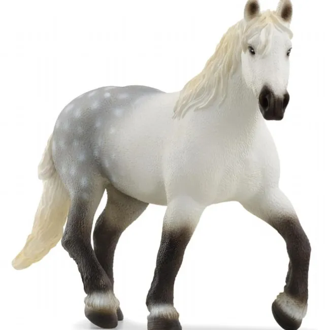 Percheron hoppe