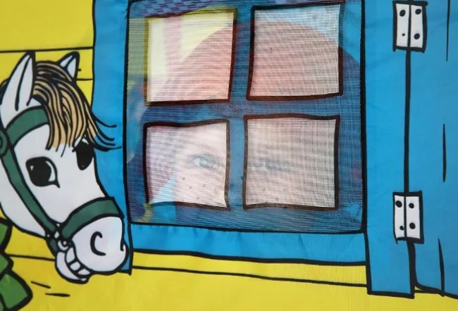 Pippi Legetelt