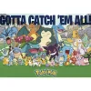 Pokemon Plakat 91,5 x 61 cm