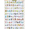 Pokemon Plakat 91,5x61 cm
