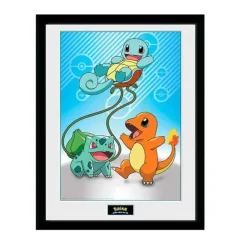 Pokemon Plakat 30x40 cm