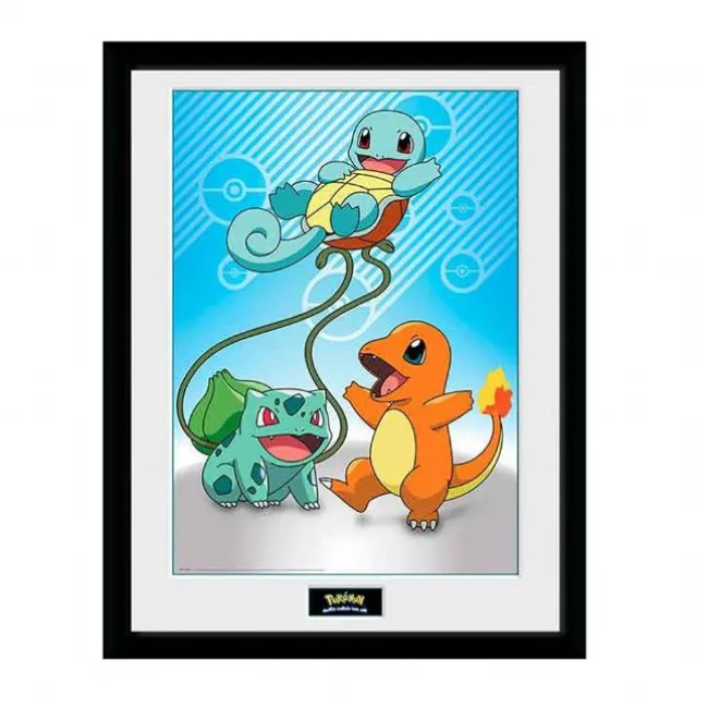 Pokemon Plakat 30x40 cm