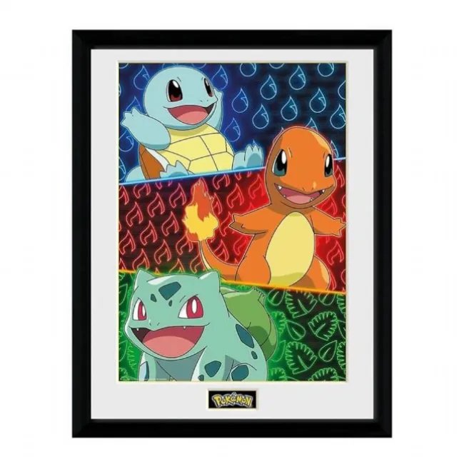 Pokemon Plakat 30x40 cm