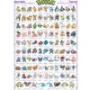 Pokemon Sinnoh Region Plakat 91,5x61 cm