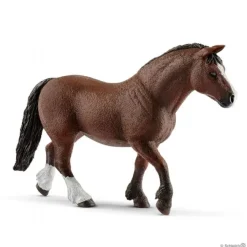 Pony Agility Bane