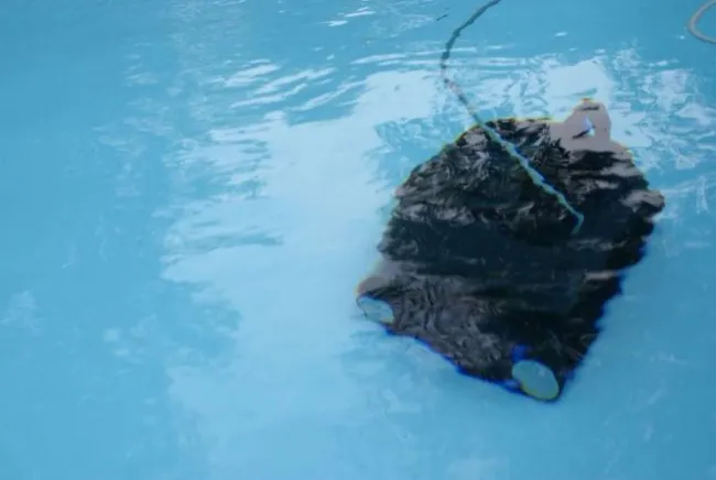 Pool støvsuger Robot Scooby