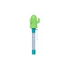 Pool Termometer Kaktus