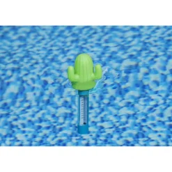 Pool Termometer Kaktus