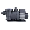 Pump Inground 600W