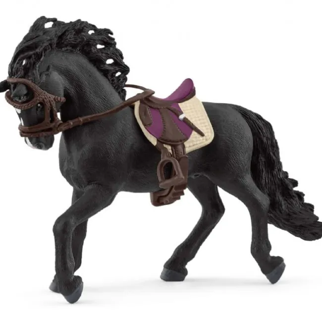 Pura Raza Española Hingst